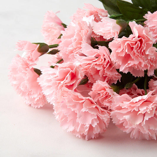 Carnation Bush - Pink